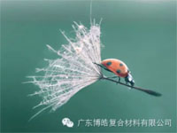【博皓感悟】成功，要“借力”，不要“盡力”